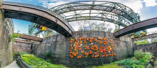 Low angle view of flowering plants in greenhouse against sky