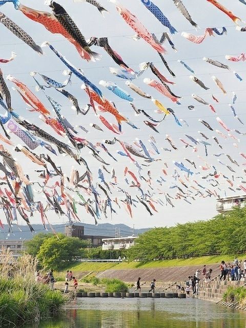 water, tree, lake, bird, grass, sky, multi colored, day, nature, waterfront, built structure, flying, reflection, river, outdoors, graffiti, tranquility, architecture, building exterior, flock of birds