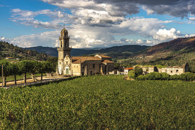 Church in the middle of vineyards