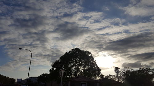 Low angle view of trees against cloudy sky