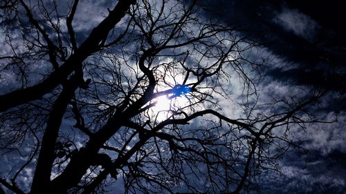 Low angle view of bare tree against rainbow in sky