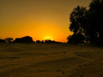 Silhouette trees on field against orange sky