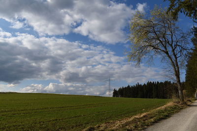 Scenic view of landscape against sky