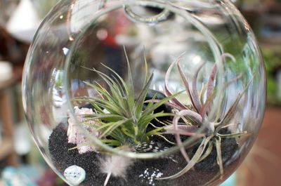 Close-up of glass jar on table