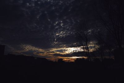 Silhouette of trees at sunset