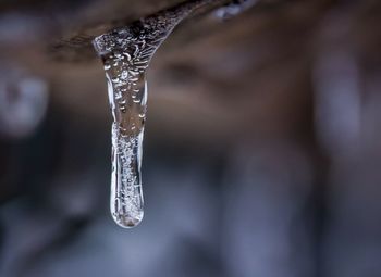 Close-up of water drop on snow