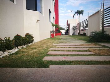 Steps amidst trees against sky