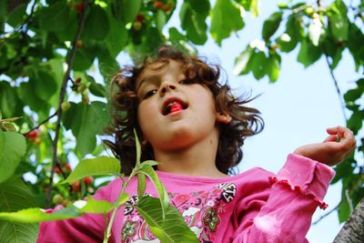 Low angle portrait of cute girl eating cherry amidst tree