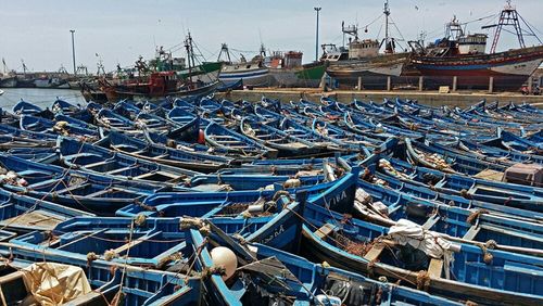 Boats in harbor