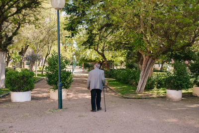 Rear view of man walking on footpath amidst trees