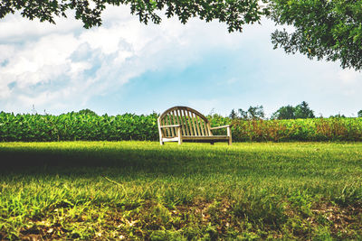 Wooden bench on grassy field at park