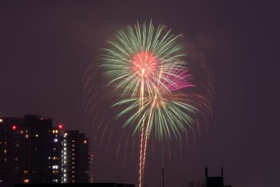 Low angle view of firework display at night