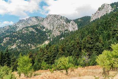 Panoramic view of trees and mountains against sky