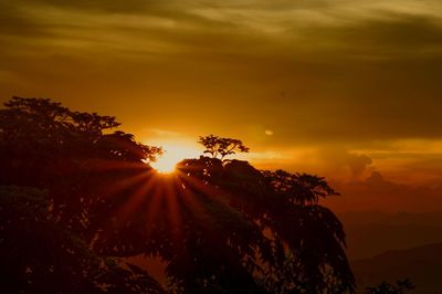 Silhouette trees against sky during sunset