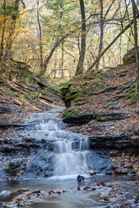 View of waterfall in forest