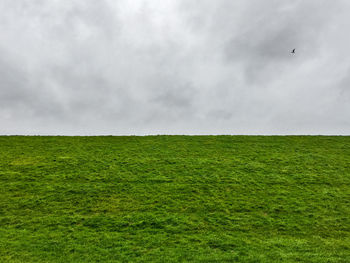 Scenic view of grassy field against cloudy sky