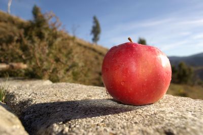 Close-up of apple on rock