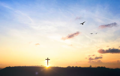 Silhouette of birds flying in sky