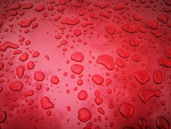 Full frame shot of raindrops on window