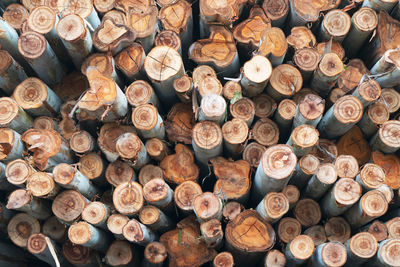 Full frame shot of logs in forest