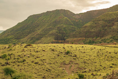 Masai villages
