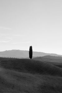 Scenic view of field against clear sky