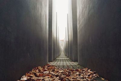 Jewish memorial in autumn