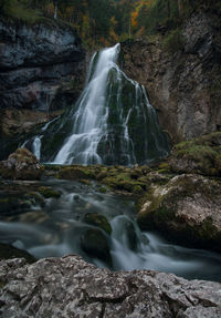 Scenic view of waterfall in forest