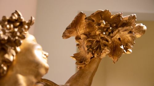 Close-up of wilted flower