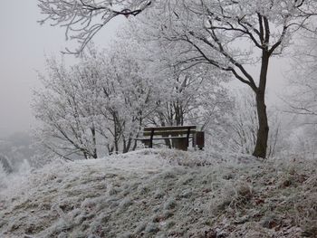 Bare trees on snow covered landscape against sky