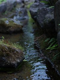 Rocks in stream