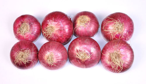 High angle view of fruits against white background