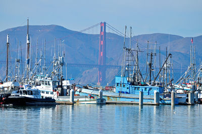 Sailboats moored on sea against sky