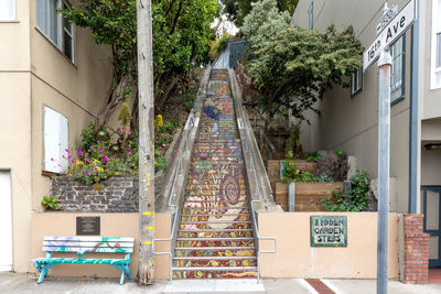 Potted plants on staircase of building