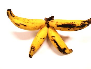 Close-up of fruits against white background