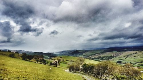 Scenic view of landscape against sky