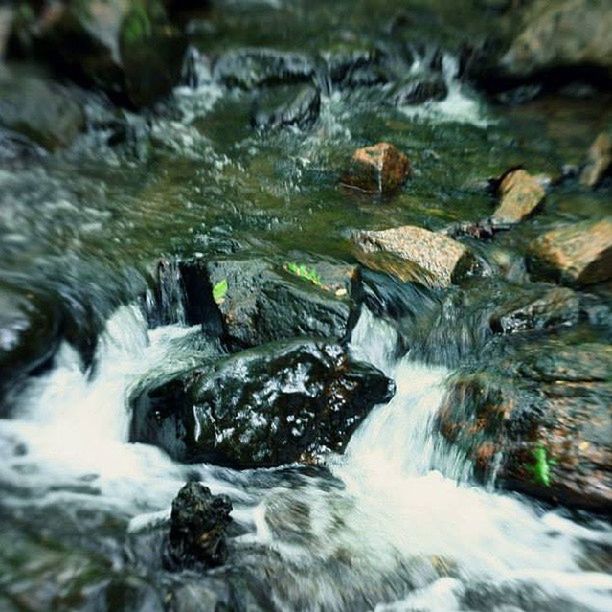 water, flowing water, motion, flowing, waterfall, stream, rock - object, long exposure, nature, forest, blurred motion, beauty in nature, river, waterfront, rock, outdoors, moss, day, no people, selective focus