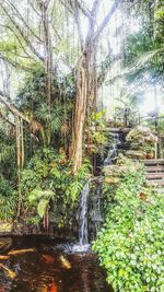 View of waterfall in forest