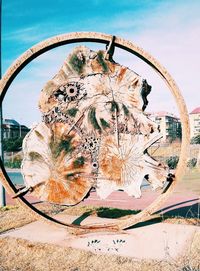 Close-up of bicycle wheel against sky in city