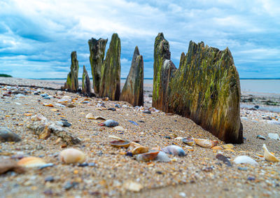 Old ship beams in sand on beach ship wreck