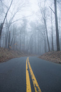 Country road by bare trees in foggy weather