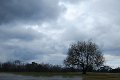 Bare trees on field against cloudy sky