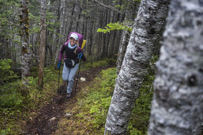 Smiling female hiker on east coast trail in newfoundland