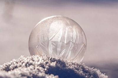 Close-up of crystal ball on plant