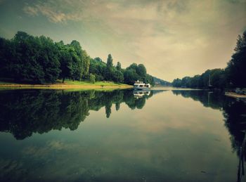 Reflection of trees in calm lake