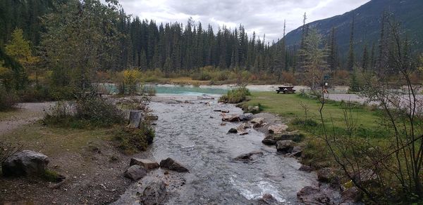 Scenic view of river amidst trees against sky