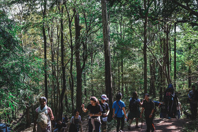 Group of people in forest