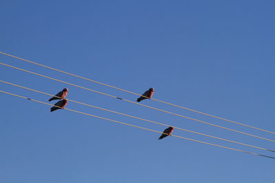 Low angle view of cables against clear blue sky