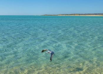 Beautiful sea and beach on the western australian coast