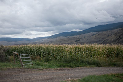 Scenic view of field against sky